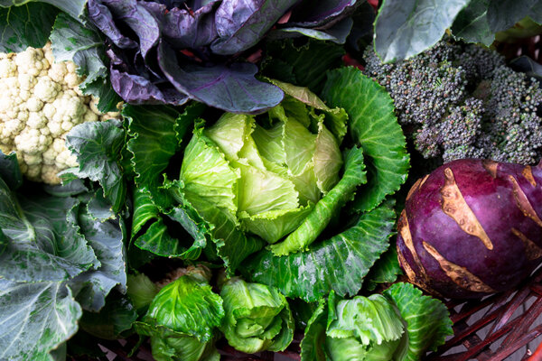 verschiedener Kohl