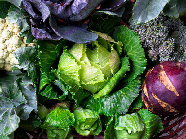 verschiedener Kohl