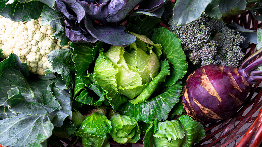 verschiedener Kohl