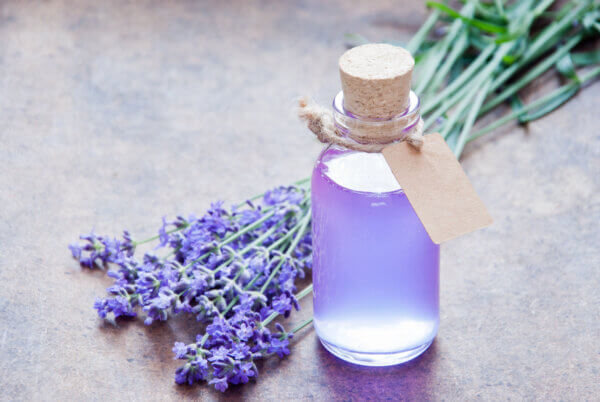 Lavendelsirup
