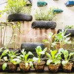 Urban Gardening