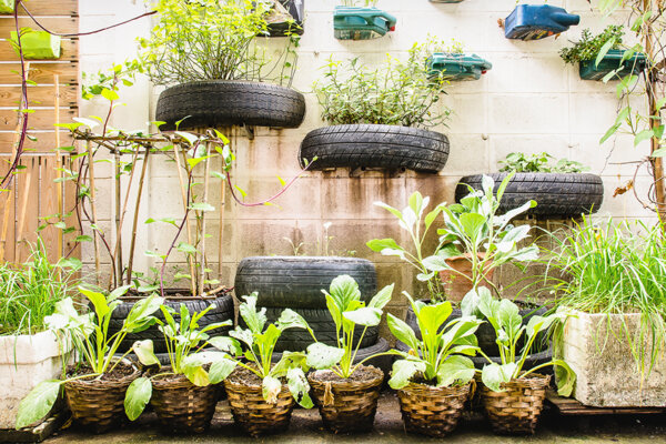 Urban Gardening