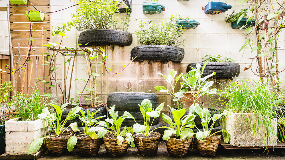Urban Gardening