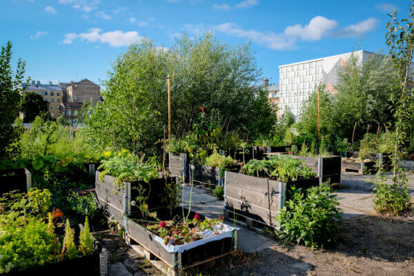 Garten in der Stadt