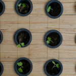 Dochtsystem DIY – Einfach selbst machen