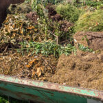 Gartenabfälle in der Natur entsorgen – darf man das?