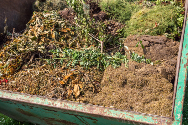 Gartenabfälle entsorgen