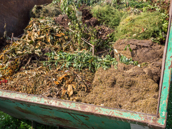 Gartenabfälle in der Natur entsorgen – darf man das?