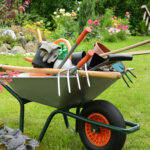 Die Gartenpflege im Sommer – das sollten Sie beachten