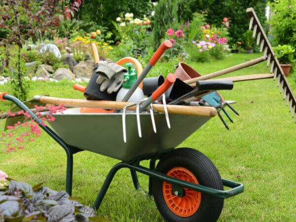 Die Gartenpflege im Sommer – das sollten Sie beachten