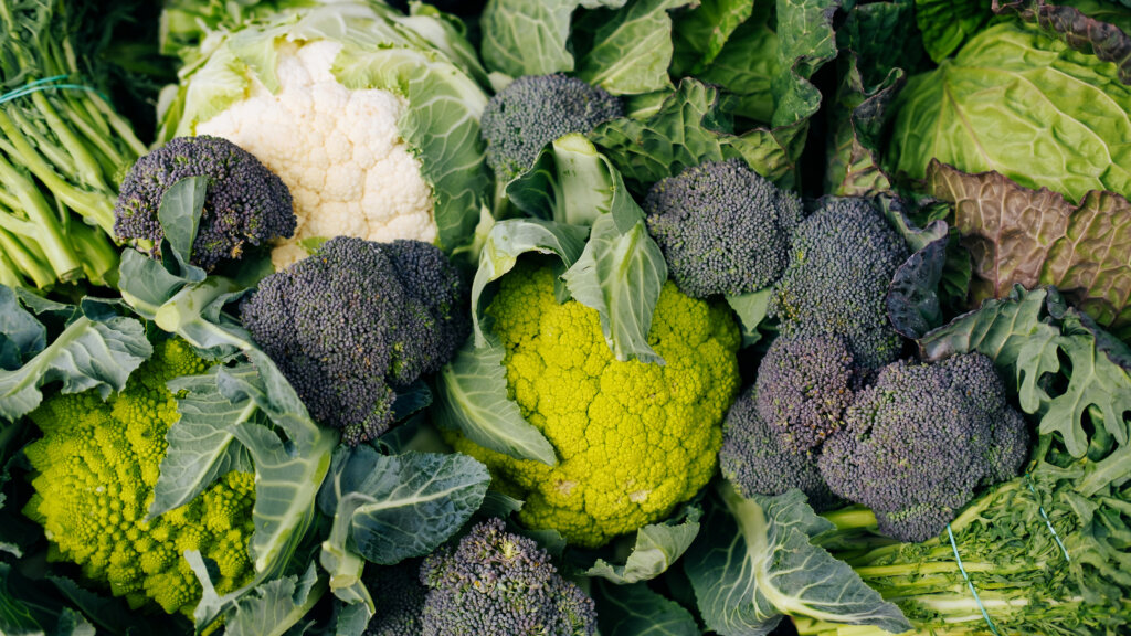 Kohl – 10 Pflegefehler, die Sie nicht machen sollten