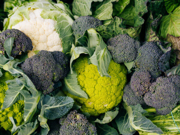 Kohl – 10 Pflegefehler, die Sie nicht machen sollten