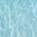 Poolwasser zum Gießen nutzen – schädlich oder unbedenklich?
