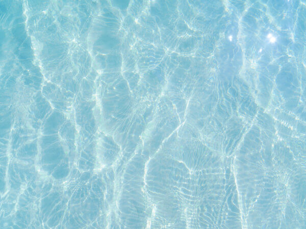 Poolwasser zum Gießen nutzen – schädlich oder unbedenklich?