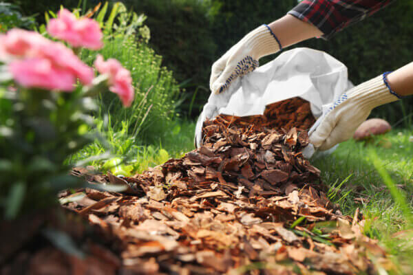 Rindenmulch