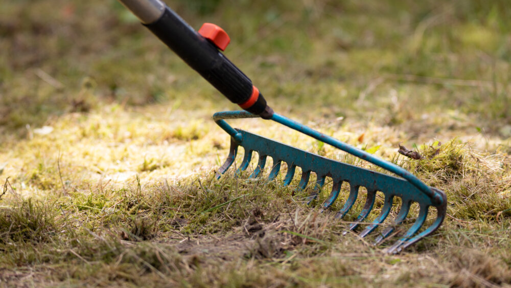 Garten aufräumen