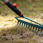 Deshalb sollten Sie Ihren Garten erst im Frühling aufräumen