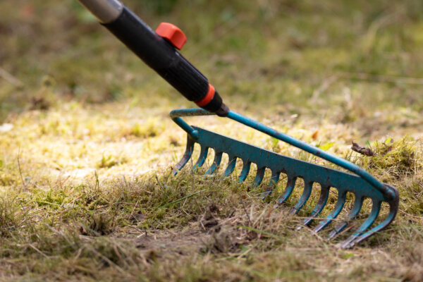Garten aufräumen