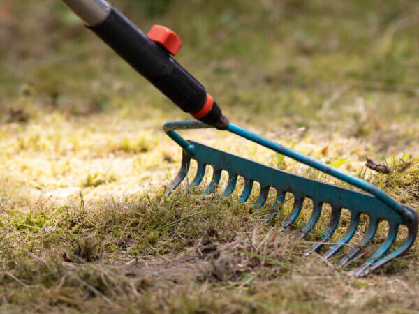 Deshalb sollten Sie Ihren Garten erst im Frühling aufräumen