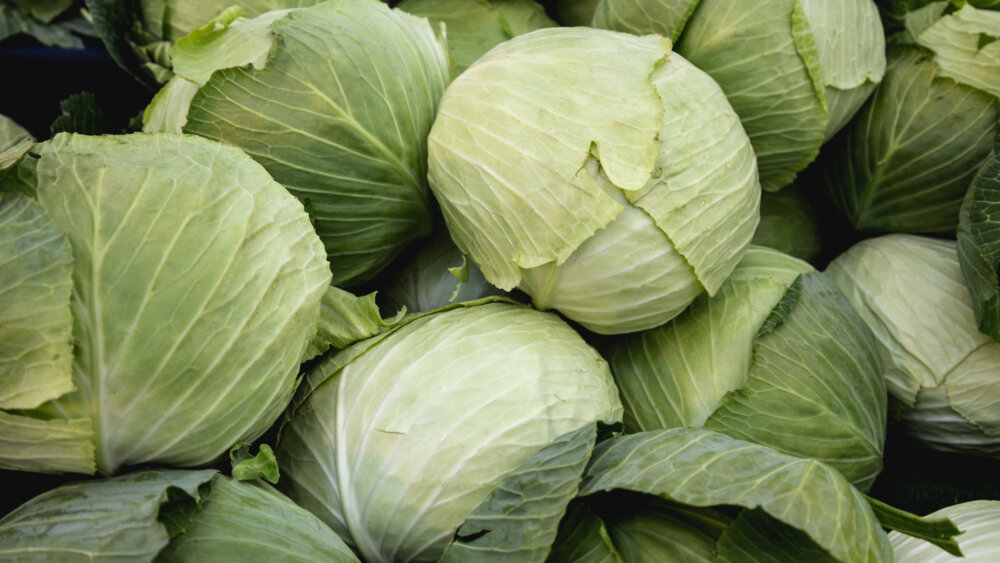 Kohl lagern