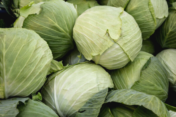 Kohl lagern