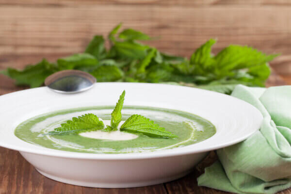 Brennnessel-Suppe