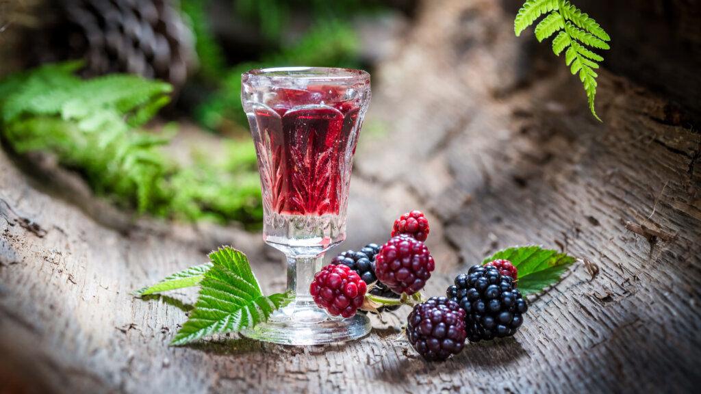 Beeren haltbar machen: 10 Rezepte – von Likör bis Fruchtleder