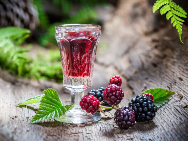 Beeren haltbar machen: 10 Rezepte – von Likör bis Fruchtleder