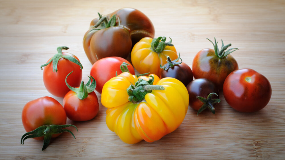 Tomatenvielfalt