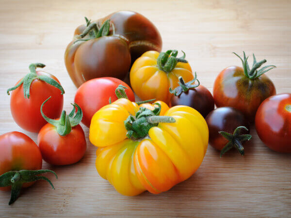 Tomaten – ganz verrückte Geschichten um die aromatischen Früchte