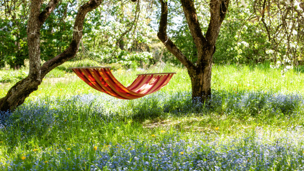 So machen Sie Ihren Garten klimafit