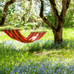 So machen Sie Ihren Garten klimafit
