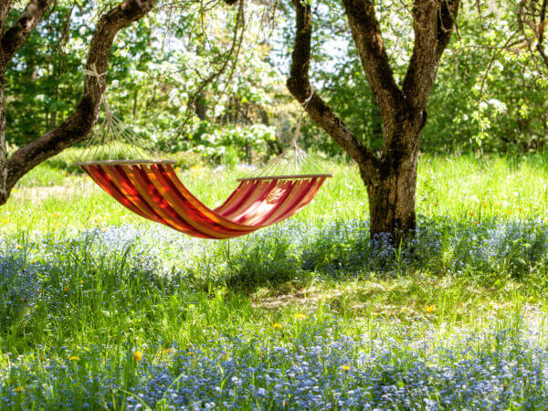 So machen Sie Ihren Garten klimafit