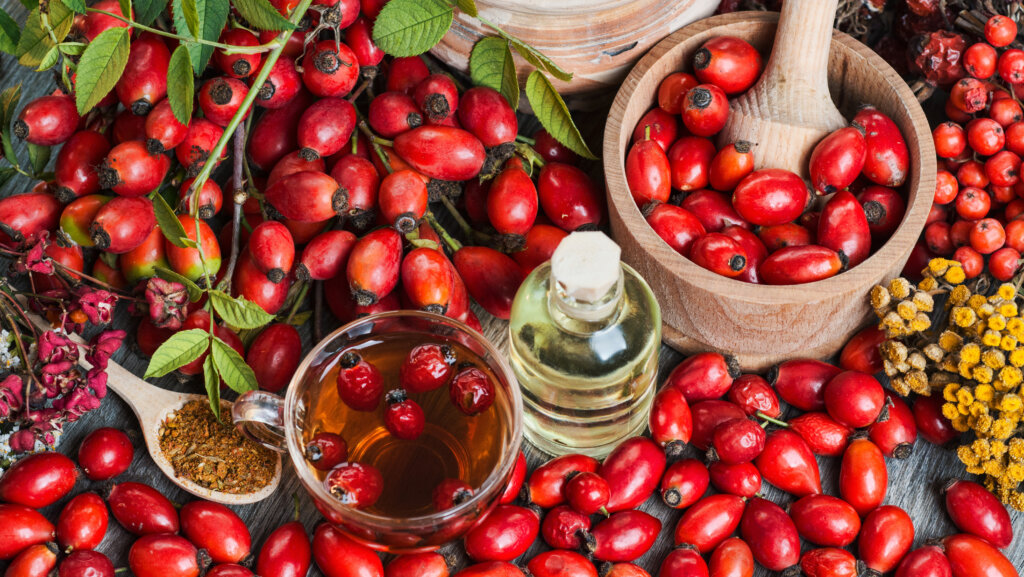 Zu viele Hagebutten? So können Sie sie verwerten