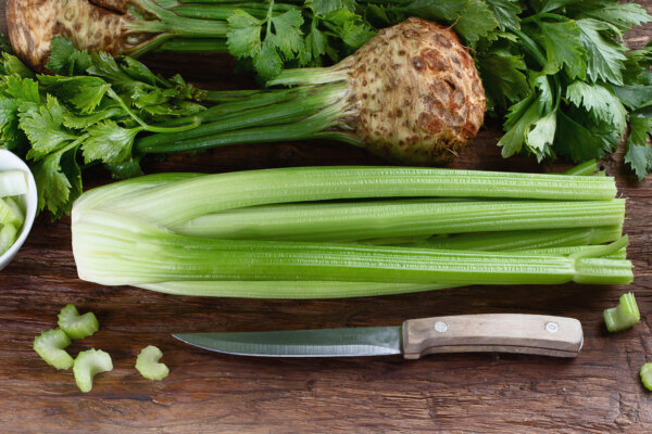 Stangen- und Knollensellerie