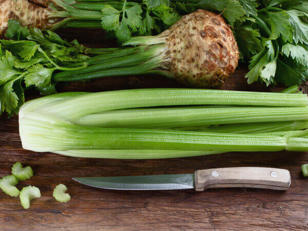 Knolle oder Stange – Sellerie ist nicht gleich Sellerie