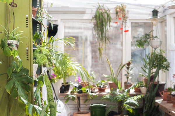 Wintergarten