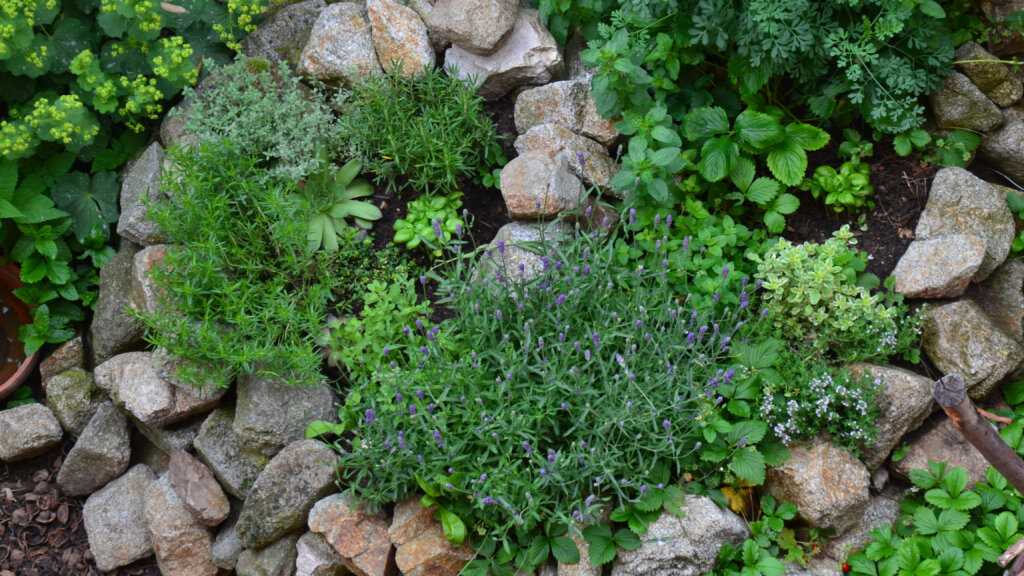 Blick in die Pflanzen-Geschichte – das 3. Jahrhundert