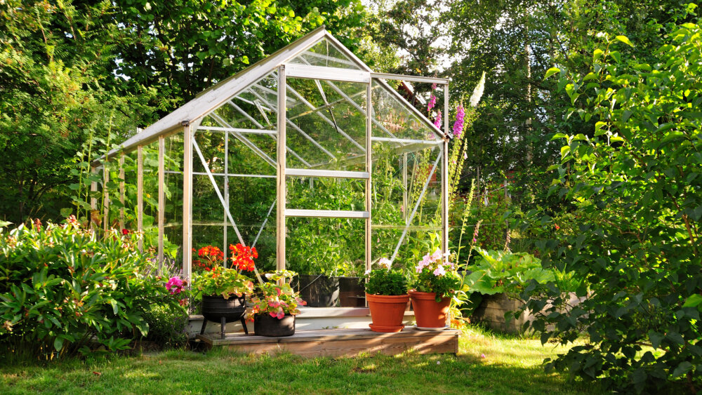 Gewächshaus
