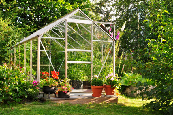 Gewächshaus