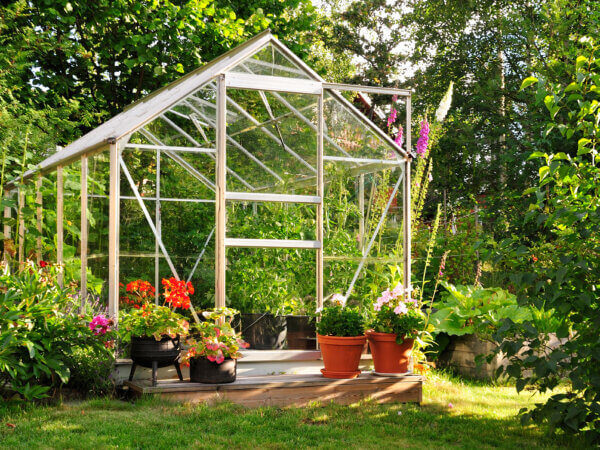 So reinigen Sie Ihr Gewächshaus richtig