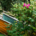 Küstengarten – darf es etwas Meer sein?