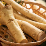 Meerrettich anbauen, pflegen und verwenden: Ein umfassender Leitfaden