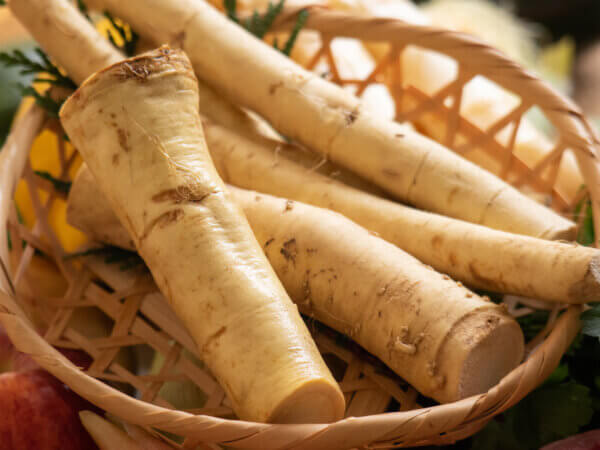 Meerrettich anbauen, pflegen und verwenden: Ein umfassender Leitfaden