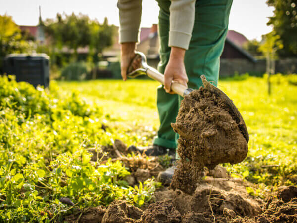 15 Tipps für ungeduldige Gärtner