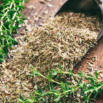 Bodendecker Thymian – ein pflegeleichter Duftrasen für den Garten