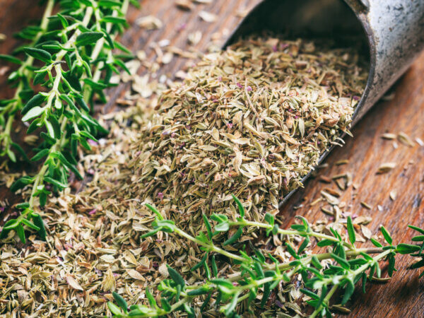 Bodendecker Thymian – ein pflegeleichter Duftrasen für den Garten