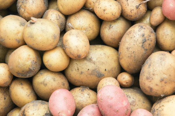 Kartoffeln