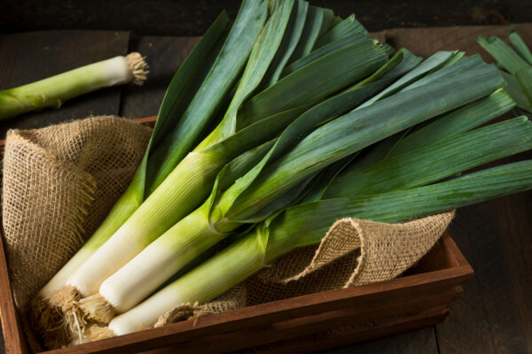 Lauch im Korb