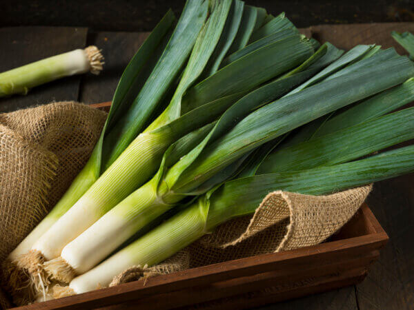 Sie fragen – wir antworten: Alles rund um Lauch